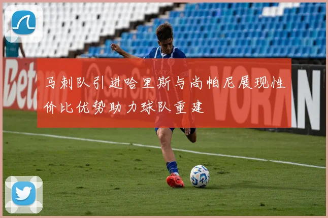 马刺队引进哈里斯与尚帕尼展现性价比优势助力球队重建