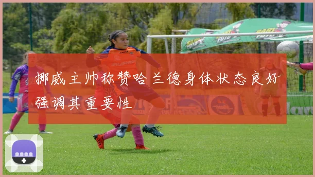 挪威主帅称赞哈兰德身体状态良好强调其重要性