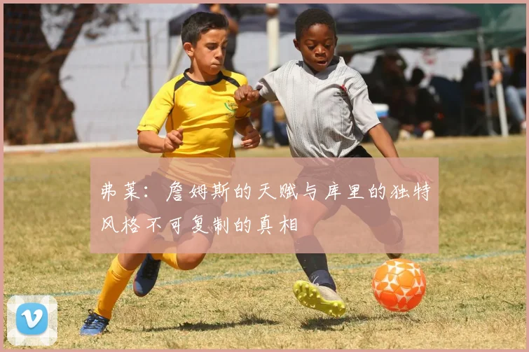 弗莱：詹姆斯的天赋与库里的独特风格不可复制的真相