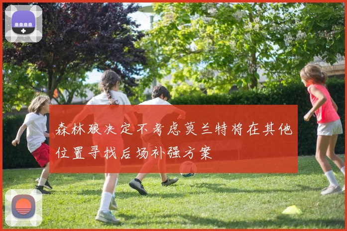 森林狼决定不考虑莫兰特将在其他位置寻找后场补强方案