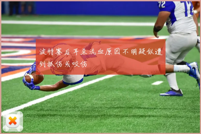 波特赛后耳朵流血原因不明疑似遭到抓伤或咬伤